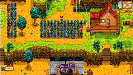 Playing Stardew Valley with the NEO S
